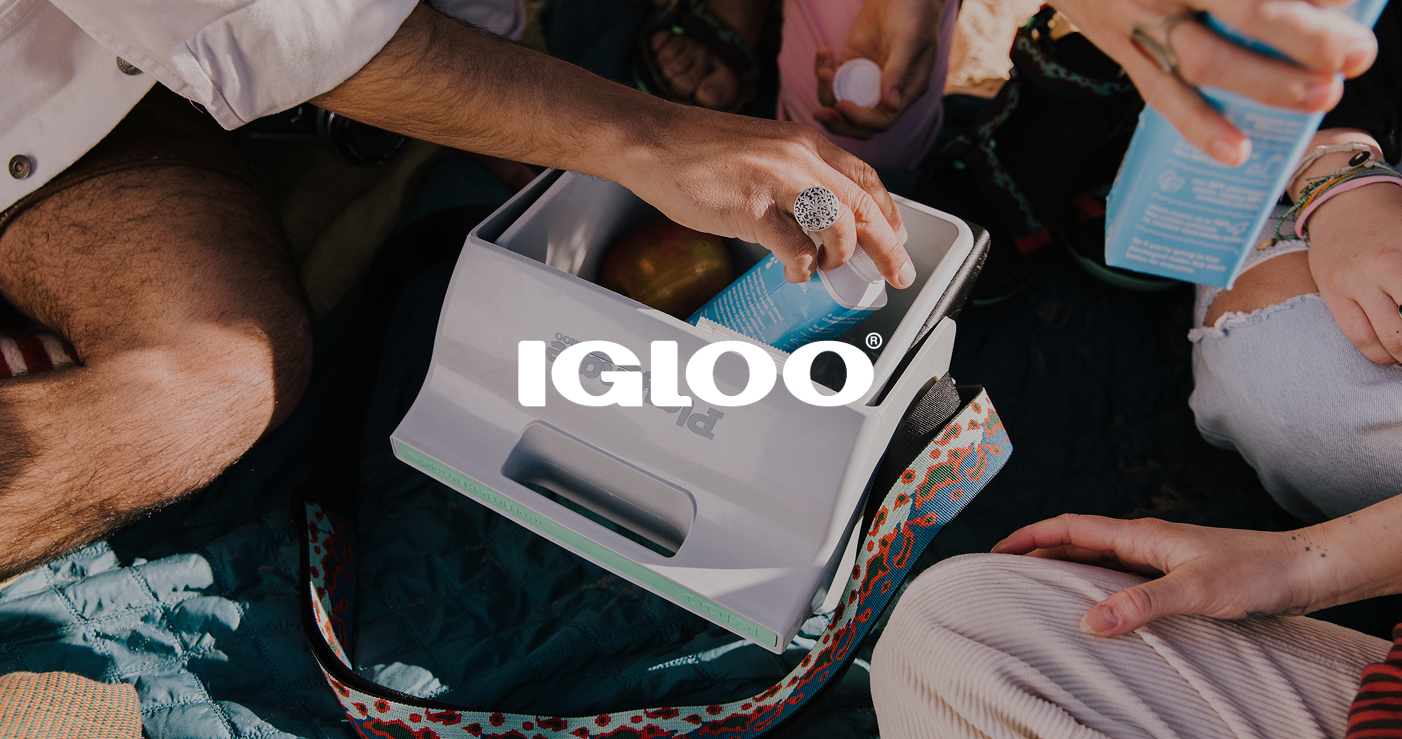 Igloo | Dometicgroup United States